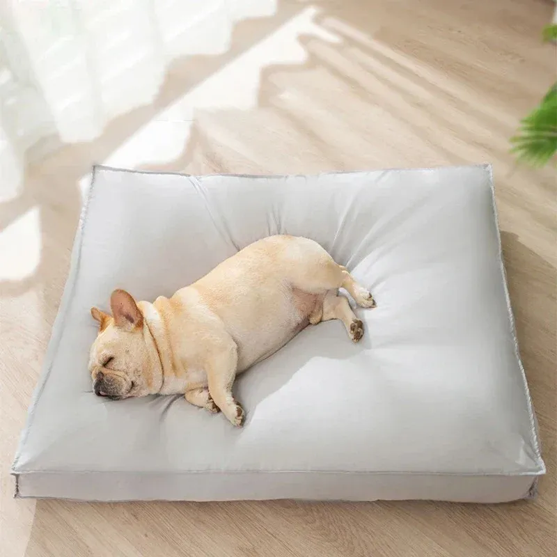 Coussin chien apaisant – Image 3