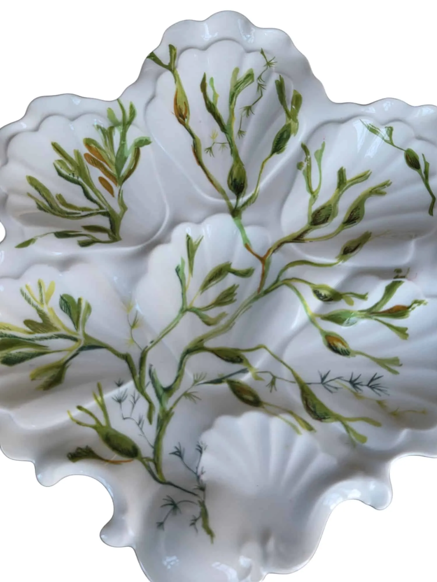 Magnifique série de 12 assiettes en forme de coquille en porcelaine de Limoges – Image 3