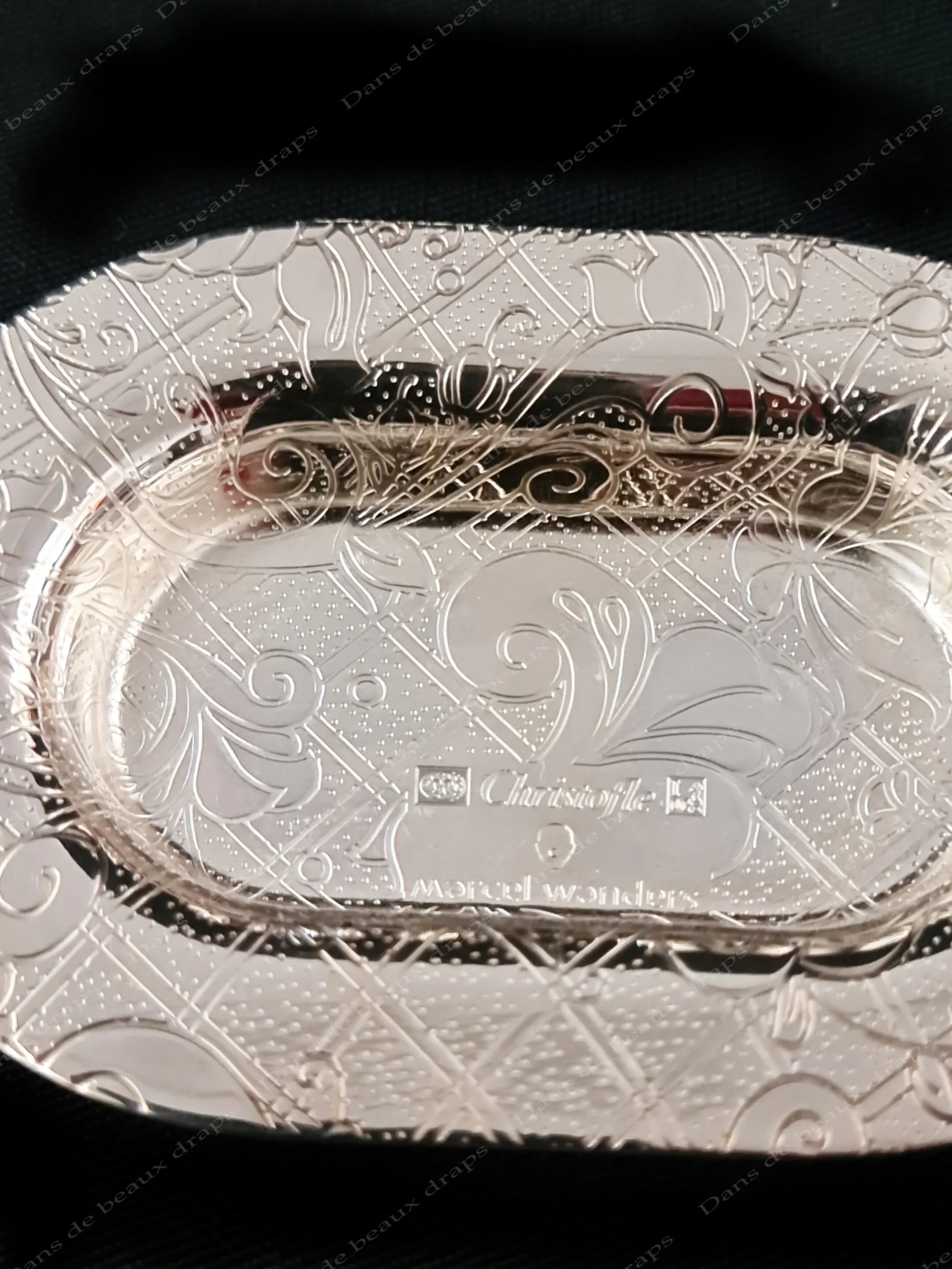 Ensemble salière et poivrier sur plateau en métal argenté,modèle Jardin d’Eden,Christofle,Paris. – Image 2