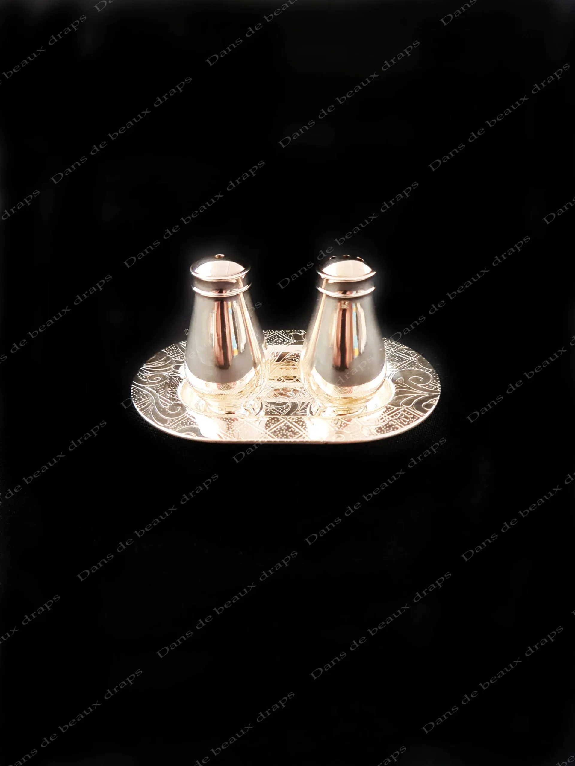 Ensemble salière et poivrier sur plateau en métal argenté,modèle Jardin d’Eden,Christofle,Paris. – Image 3