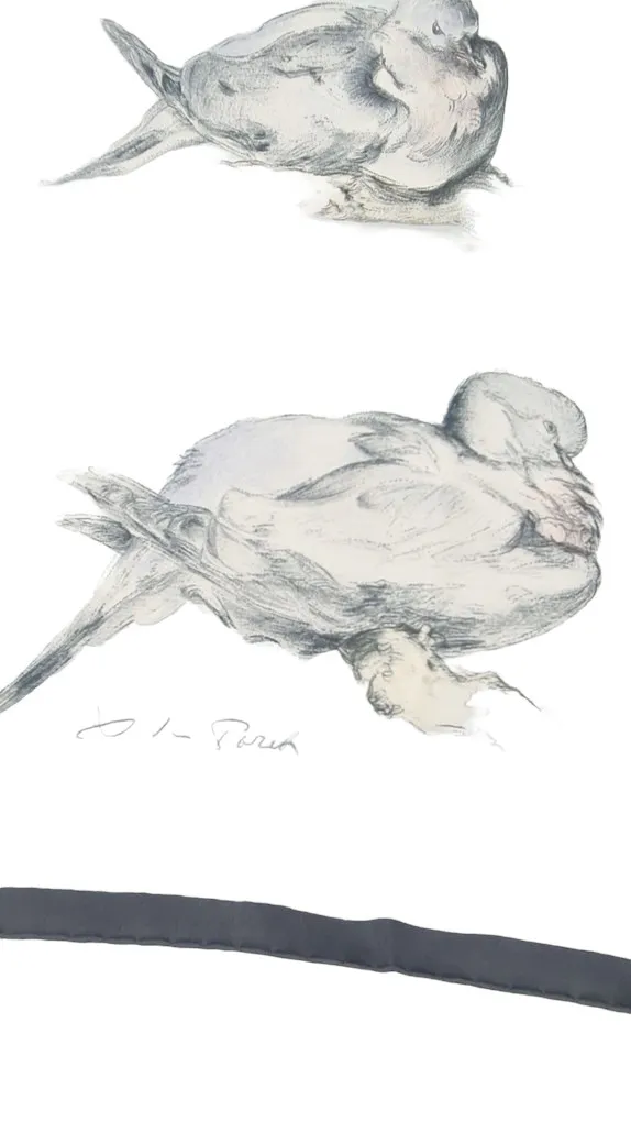 Rare foulard Hermès modèle » Tourterelles », design Xavier de Poret, 1956 – Image 4